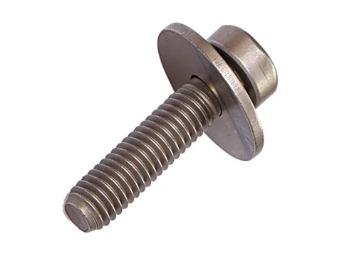 Torx 2-Piece Bolt