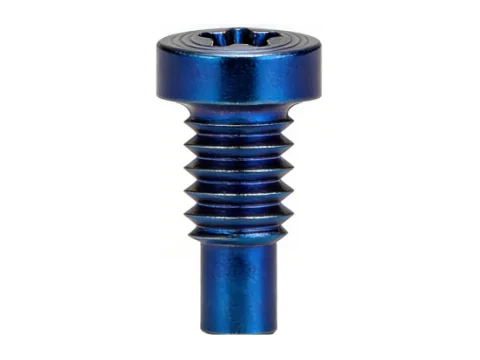 Torx Pan Head PVD CD Pattern Screw