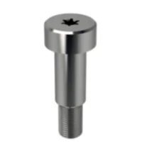 Hex Socket Shoulder Screw 2