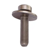 Torx 2-in-1 Screw