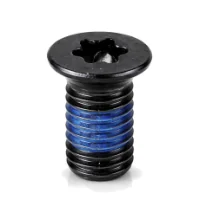 Torx Nylon Patch Lock Screw