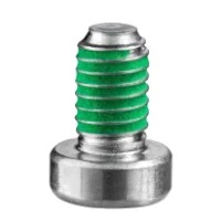 Torx Cap Head P85 Lock Screw