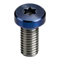 Torx Cap Head PVD CD Pattern Screw