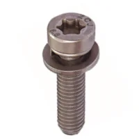 Torx Cap Head 3-in-1 Lock Screw