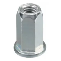 Flat Head Hex Rivet Nut