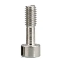 Captive Screw
