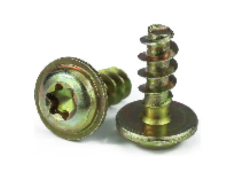 PT Torx Pan Head Flange Thread-Forming Screw for Plastic