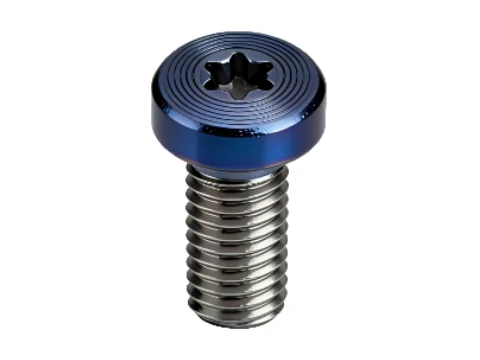 Hexalobular Socket Head PVD CD-Pattern Screw